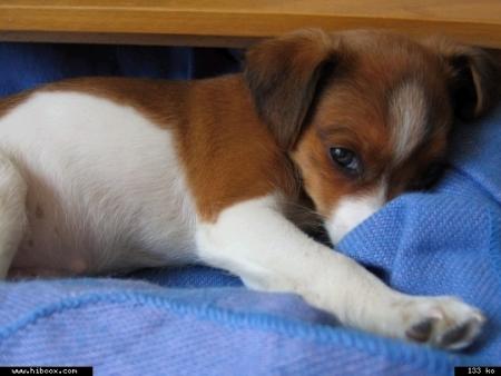 adorable