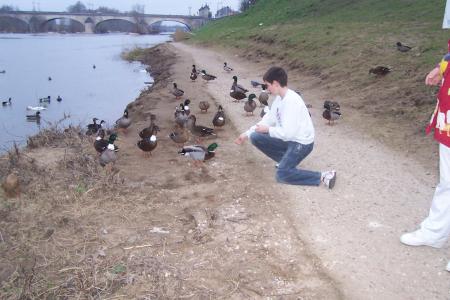 kevin